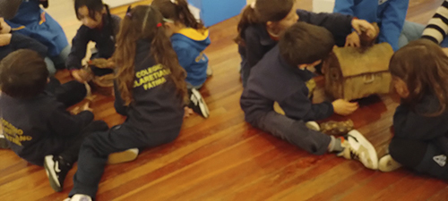 Área educativa