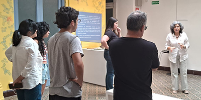 Celebración de la cultura