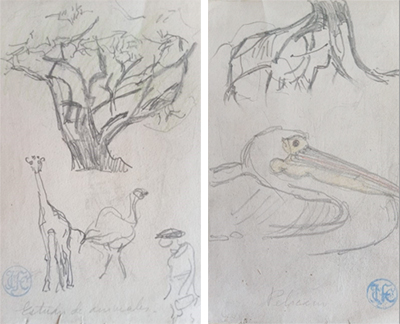 Dibujos de Juan Carlos Figari