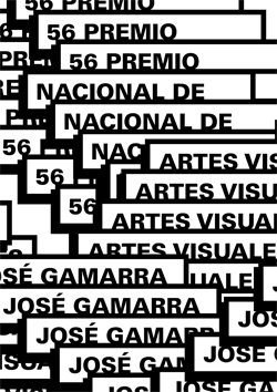 56° Premio Nacional de Artes Visuales "José Gamarra"
